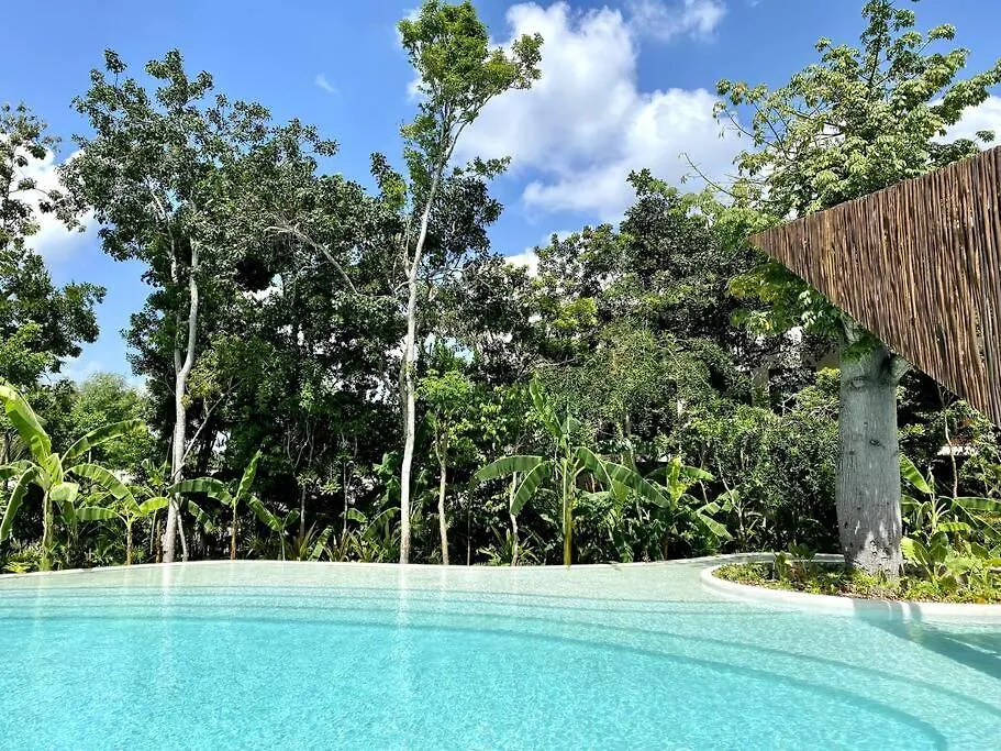 Exclusive Studio In A Gated Community By Casa Paraiso Tulum